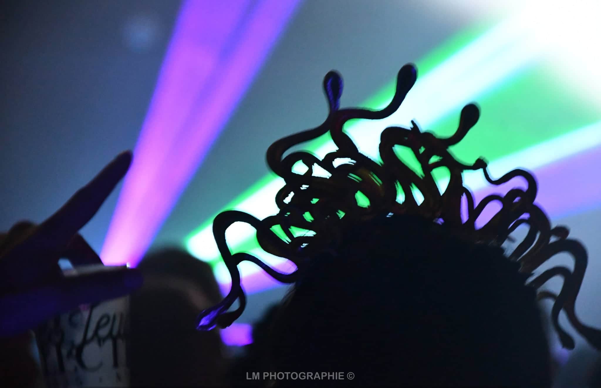 Sur la piste de danse — bal animé par DJ Deelight Evolution