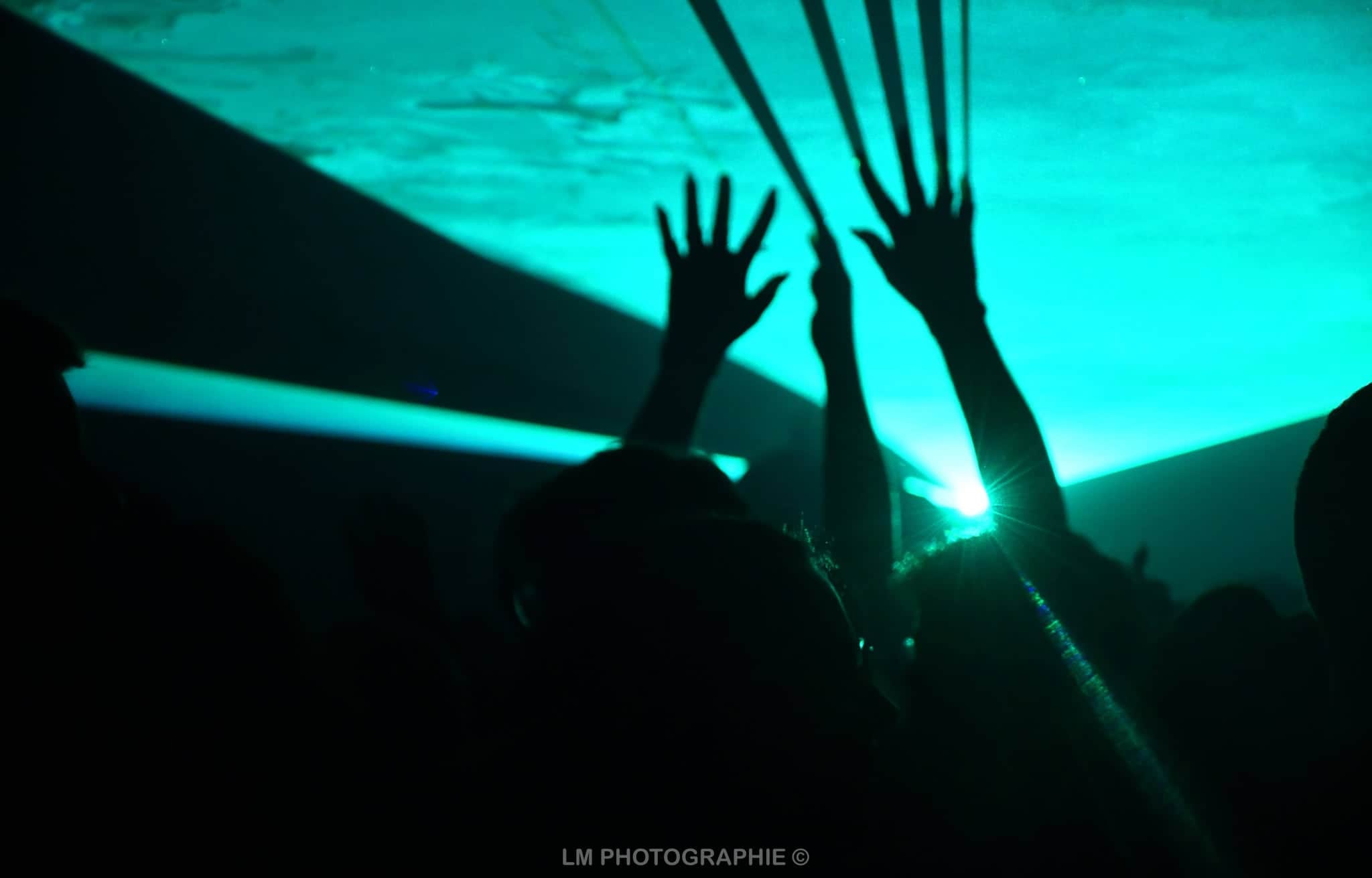 Mains levées sous les faisceaux — bal animé par DJ Deelight Evolution